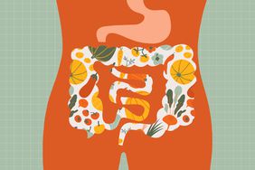 Ilustración collage de vegetales intestinales y otoñales